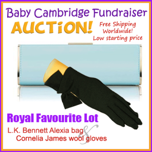 Baby Cambridge Fundraiser Auction lot